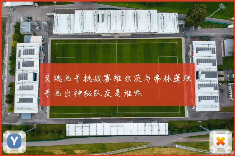 灵魂画手挑战赛维尔茨与弗林蓬联手画出神秘队友是谁呢
