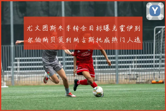 尤文图斯冬季转会目标曝光霍伊别尔伯纳贝莫利纳古斯托成热门人选
